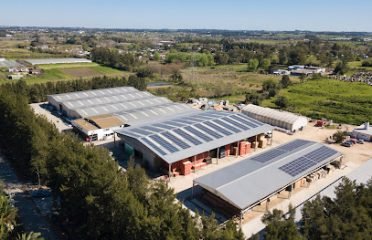 Barraca Parana – Distribution and Logistics Center