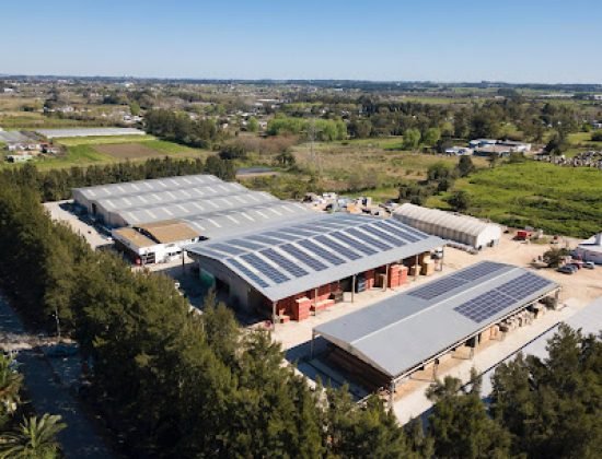 Barraca Parana – Distribution and Logistics Center