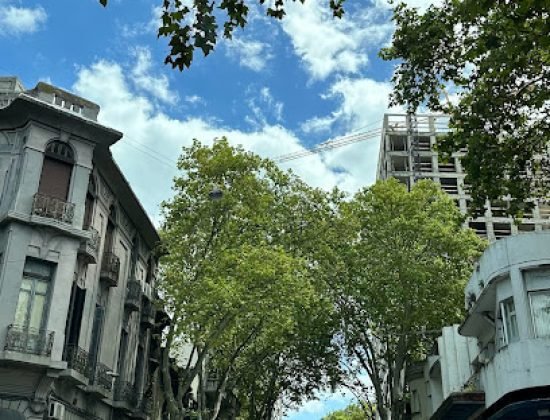 Bettina intercoiffure