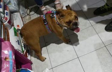 Veterinaria Centenario