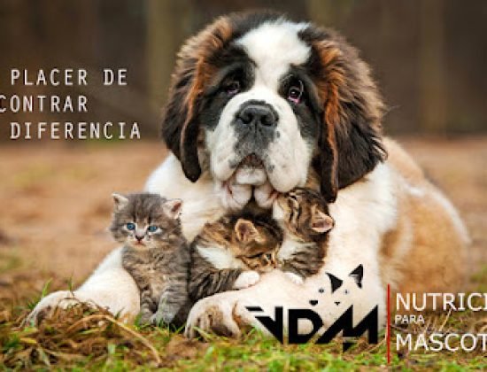 VDM Mascotas PetShop & Veterinaria