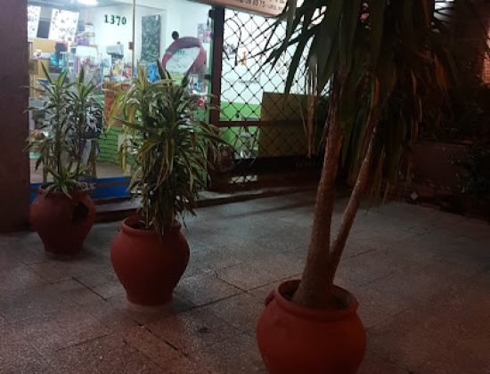 Veterinaria El Boyero