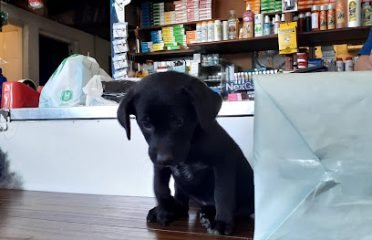 Veterinaria La Cruz (Curva)