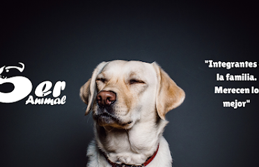 Being Animal Vet Shop