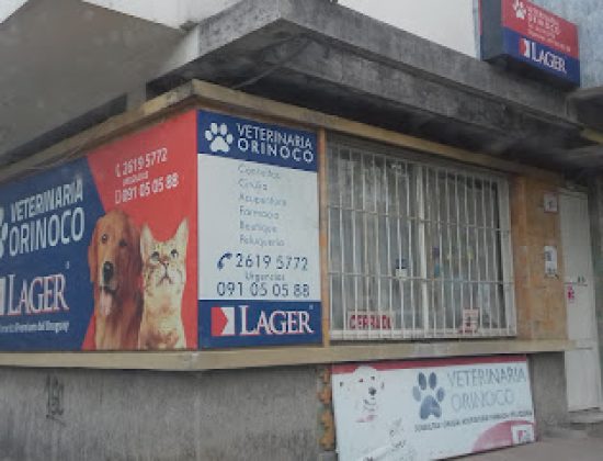 Vida Veterinaria