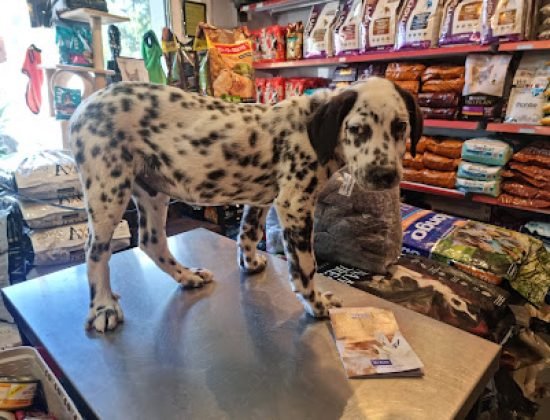 Veterinaria Los Arrayanes