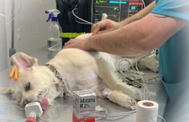 Veterinaria De La Costa