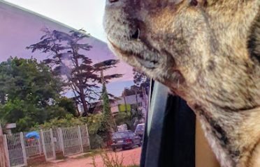 Hospital Veterinario de la Costa