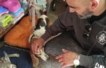 Veterinaria Corazon Azul