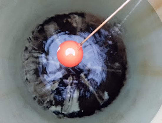 Sanitaria en general M.F