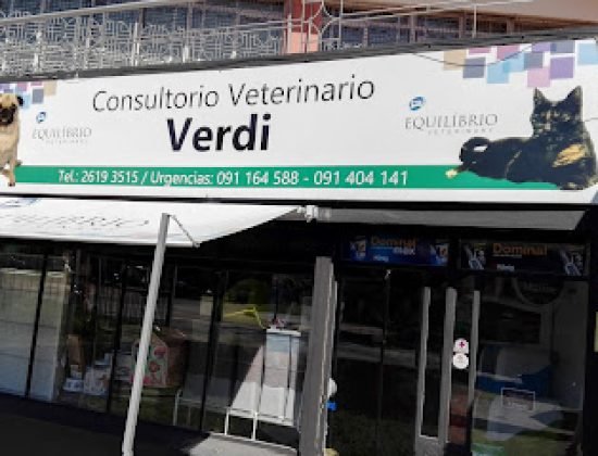 Veterinaria Verdi