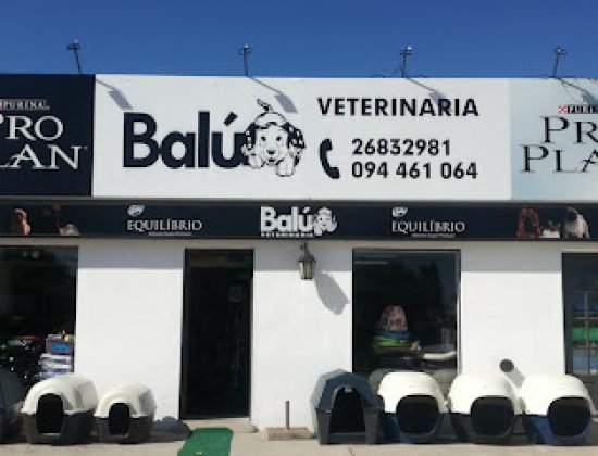 Veterinaria Balú Shangrila