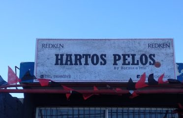 Hartos pelos