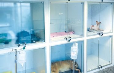 VEA (Veterinarios en Acción) / URGENCIAS