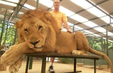 Clínica Veterinaria Ellauri