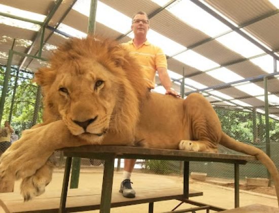 Clínica Veterinaria Ellauri