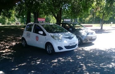 Academia de Choferes Desde Cero