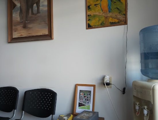 Clínica veterinaria – Exóticos Patricia Infante