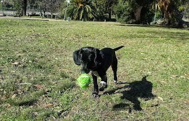 Veterinaria Parque Rodo