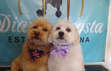 Diane Acosta Estética Canina