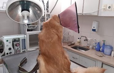 Veterinaria Del Litoral