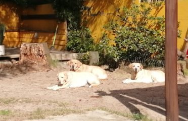 Veterinaria Real de Azúa