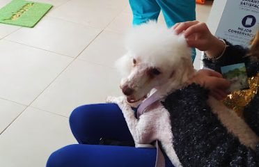 Artemisa Veterinaria