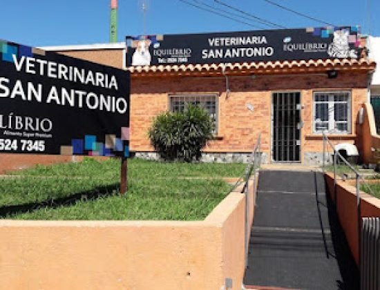 Veterinaria San Antonio
