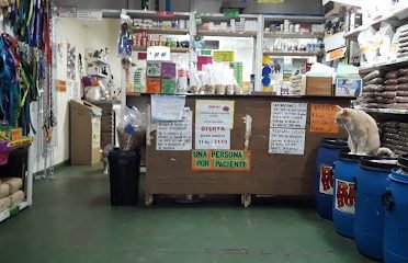 Veterinary Libya railhead