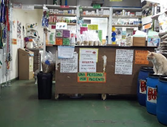 Veterinary Libya railhead