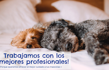 Veterinaria Santa Monica