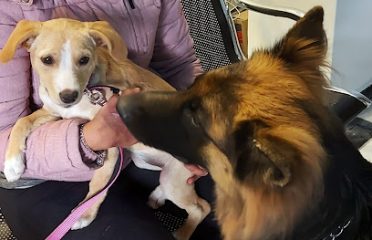 Peluquería il barbiere