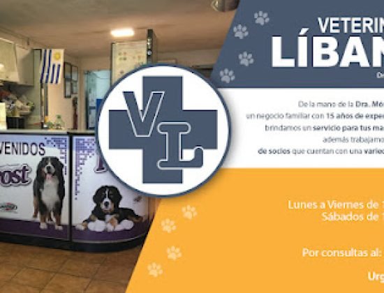 Veterinaria Libano