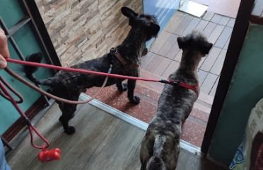 Veterinaria La Labradora