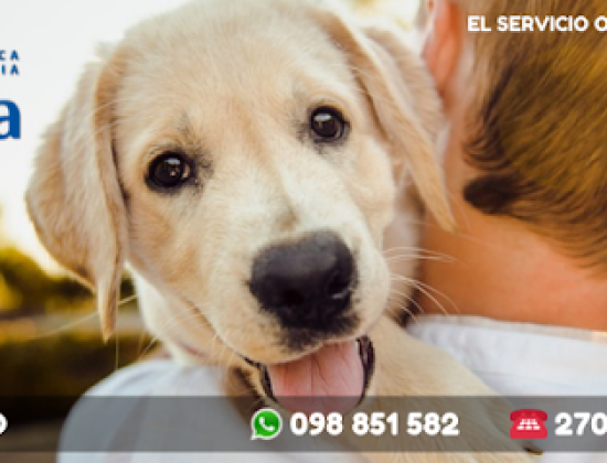 Veterinaria La Mascota