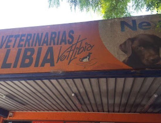 veterinaria Libia ( Camino carrasco)