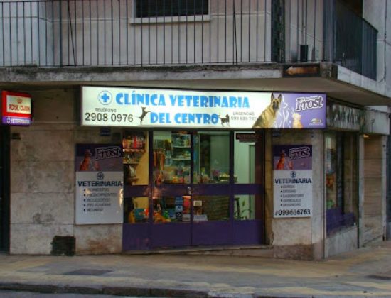 Veterinaria del Centro