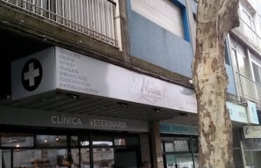 Clinica Veterinaria Lo de Mishka