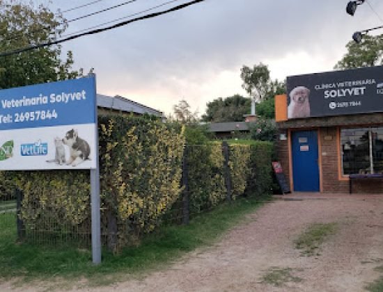 Veterinaria Solyvet