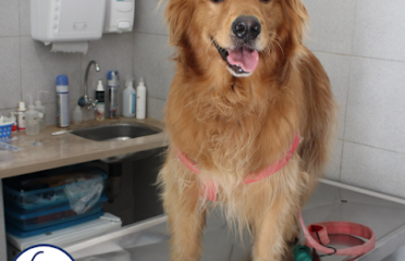 Veterinaria Las Garzas