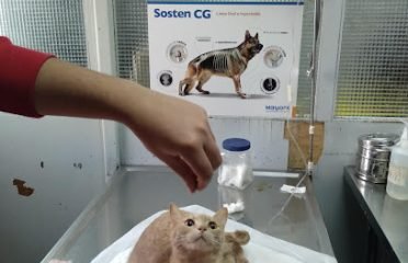 Veterinary St. Lucia