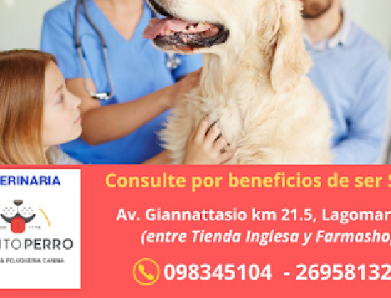 Veterinaria & Pet shop Pronto Perro