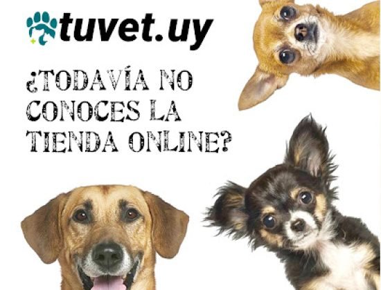 TUVET Centro Veterinario