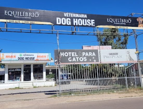 Veterinaria Dog House