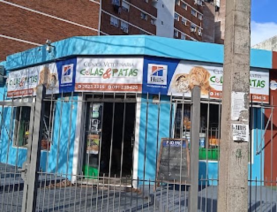 Veterinaria Colas Y Patas