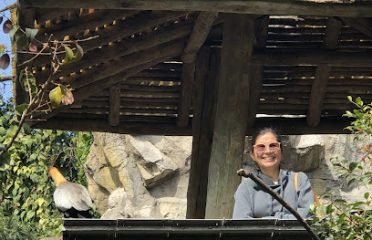 Dra Daniela Monfort, Veterinaria