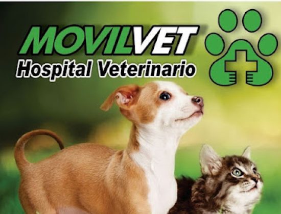 Veterinaria Movilvet