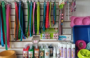 Clínica Veterinaria Medivet