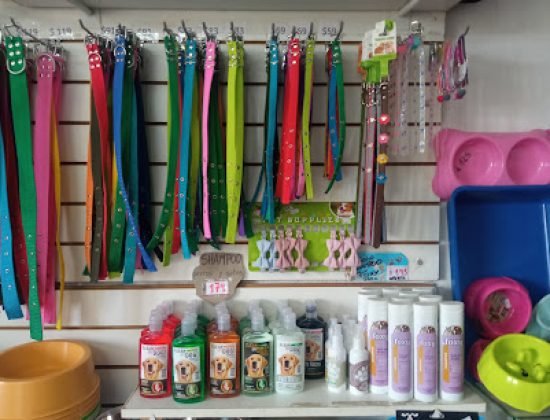 Clínica Veterinaria Medivet