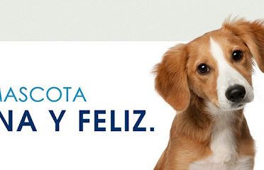 Veterinaria La Jungla